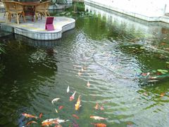 -寿山福海养老服务中心(石景山院)