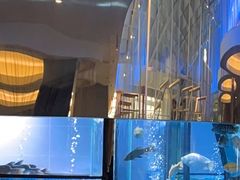-王家渡火锅店(棕榈泉店)