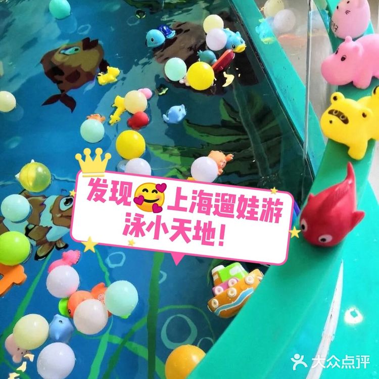 最火的上海宝宝游泳🏊天地！