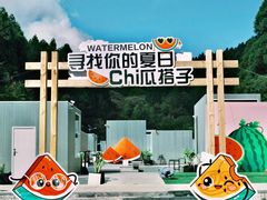 -玉苍山国家森林公园