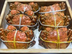 -黄记大闸蟹专卖店·活蟹·醉蟹