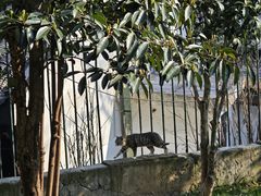 -无锡梅园公园