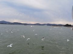 -蠡湖大桥公园