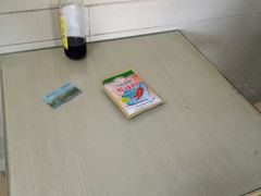 -周震馄饨