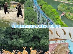 -常州淹城野生动物世界