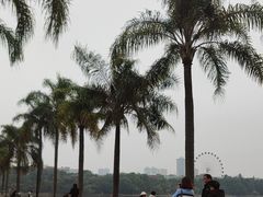 -南宁南湖公园