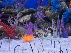 -成都浩海立方海洋公园