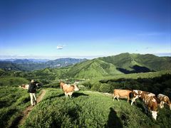 -灵山