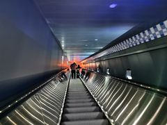 -白鹤梁水下博物馆