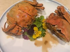 -杨氏青龙虾·羊蝎子(珠江路店)