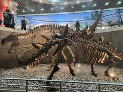 -国家自然博物馆