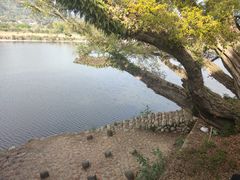-百漈沟生态旅游景区