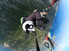 -费特希耶滑翔伞