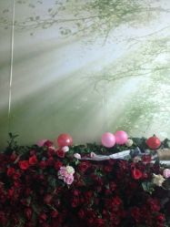 -戛纳印象摄影(潮拍定制馆)