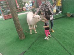 -萌宠亲子动物乐园(槐房万达店)