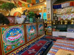 -卡万金特色藏餐