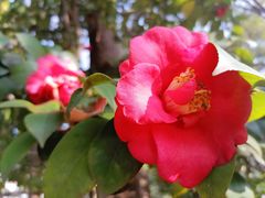 -上海方塔园