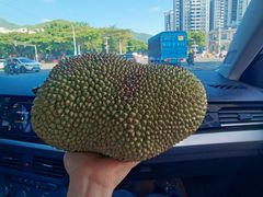 -新鸿港水果市场