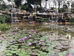 -东莞植物园