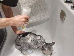 -FAELING PETS美天灵宠物(合生汇店)