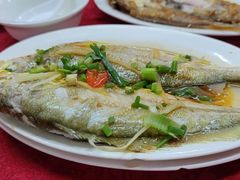 清蒸黄花鱼-蛇口康乐快餐鱼仔档(翠苑小区店)