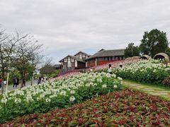 -金卉庄园