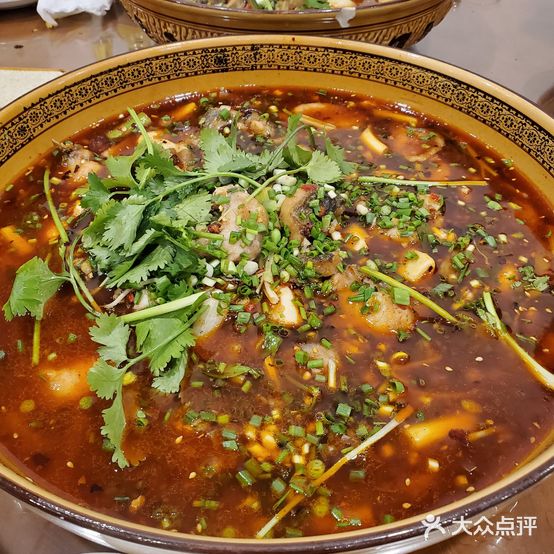 钟鲶鱼