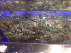 -V-ONE西雅图海鲜自助餐厅(仓山万达广场店)