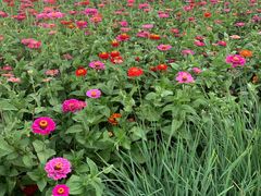 -霸王河欢乐世界