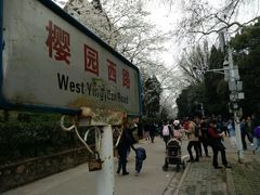 -武汉大学-樱园
