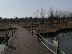 -水八仙生态园