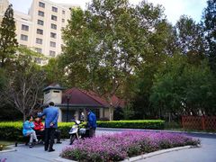 -徐家汇源景区-衡山公园