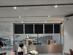 -麦当劳(北京大兴机场二层国内到达(安检外)店)