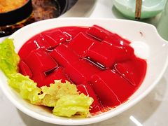 鲜鸭血-晓宇重庆火锅(赛格国际购物中心店)
