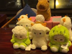 -浅深Cheersum(曹杨店)