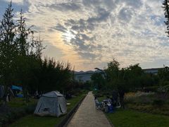 -金海湾滨江公园