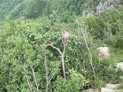 -重庆云阳龙缸景区