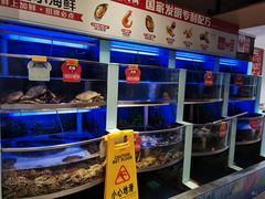 水产区-七欣天(上海淮海路新尚广场店)