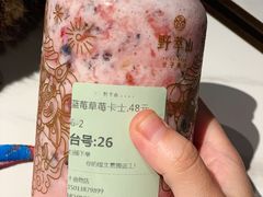 -野萃山·潮汕厚果汁(十亩地店)