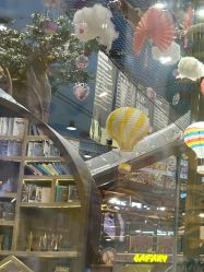 -卡通尼·Safari非洲探索乐园·生日会(金桥国际商业广场店)