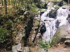 -藏龙百瀑风景区