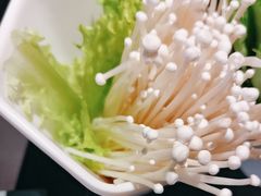 -额尔敦传统涮(公园西路店)