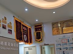 -格蕾宠物医院24H·猫科·肿瘤科·骨科中心(福州总院)