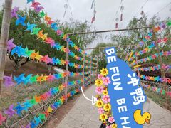 -北京西山国家森林公园