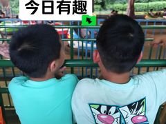 -无锡动物园·太湖欢乐园