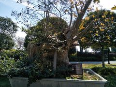 -武汉紫薇都市田园