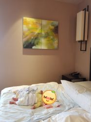 -Babysky·贝瑞佳月子会所(花木店)
