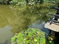 -黄兴公园