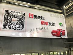 -上海植物园·停车场