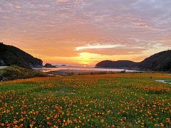 -东海半边山旅游度假区